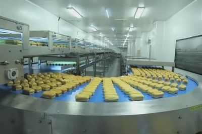 焙烤食品厂面包 饼干 糕点生产中微生物超标高效杀菌消毒剂